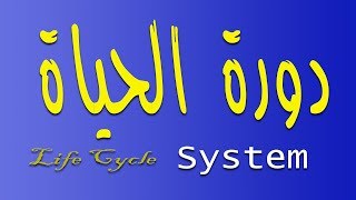 14 systems development life cycle SDLC دورة حياة تطوير النظام