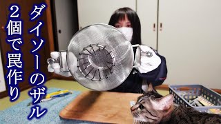 ダイソー罠と魚釣り!