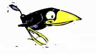 Crow walkcycle