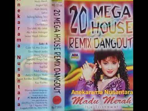 Mega House Dangdut Remix \