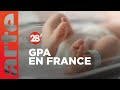 Gpa  fautil lautoriser pour mieux lencadrer ou linterdire  jamais    28 minutes  arte