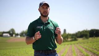 Tim Hushon Nitrogen Modeling