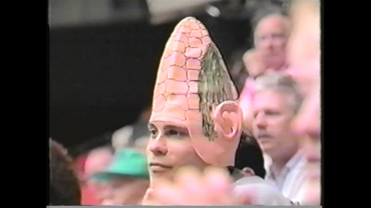 1994 NCAA Men's Gymnastics Team Finals, Nebraska vs Stanford vs Ohio