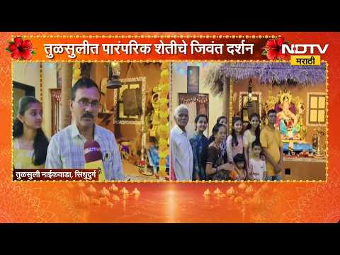 Sindhudurg| तुळसुलीत पारंपरिक शेतीचे जिवंत दर्शन, नाईक-जुमलेदार कुटुंबीयांचा अनोखा उपक्रम