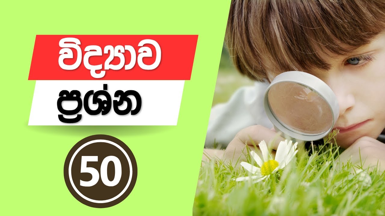 6 විද්‍යාව - ප්‍රශ්න 50ක්  එක දිගට | Grade 6 Science 😃😃😃