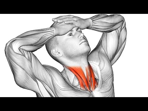 The 15 Most Effective Exercises for Neck Pain Relief