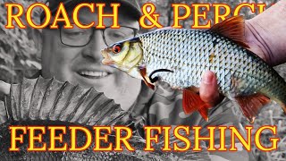 Feeder Fishing for Roach & Perch | Coarse Fishing Big Lochs
