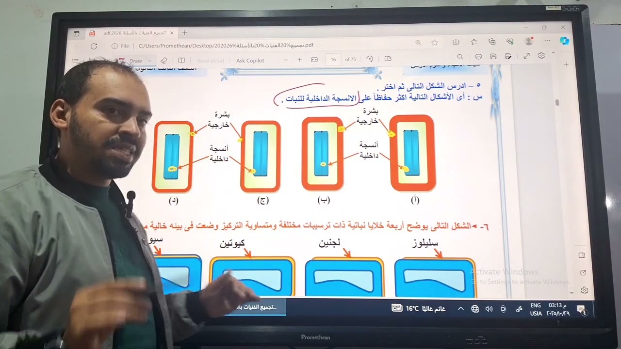 حل تدريبات الدعامة فى النبات ( مذكرة الفنيات ) | أحمد أنيس | أحياء ثالثة ثانوى 