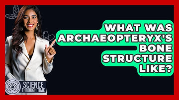 What Was Archaeopteryx