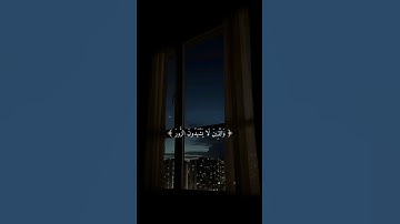 تلاوة هادئة 💗☁️ #allah #فلسطين #الصلاة#راحة_نفسية # #القرآن #الله #راحة_نفسية#هدوء#فلسطين_حرة#طوفان