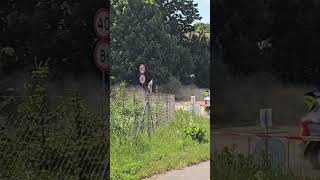 Rajd Nadwiślański 2026 M.Górny/M.Martynek #shorts #viral #subscribe #rally #rajdy #motorsport #fyp
