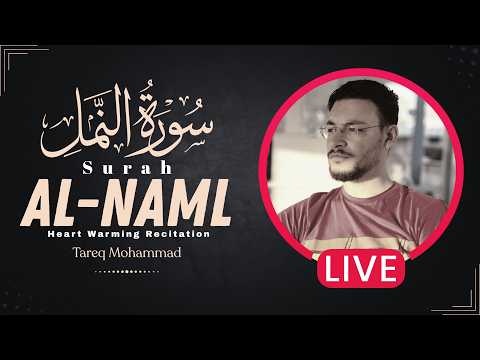سورة النمل | بث مباشر طويل لأجمل التلاوات المختارة | القارئ طارق محمد