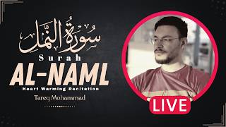 سورة النمل | بث مباشر طويل لأجمل التلاوات المختارة | القارئ طارق محمد