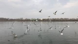 római 20170314