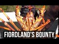 Fiordland's Bounty (Season 6 Ep 7)