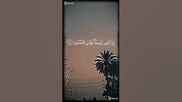 كل نفس ذائقة الموت |  قرآن شاشة سوداء القارئ عبدالرحمن مسعد |  تخطيط القلب حتى التوقف #quran