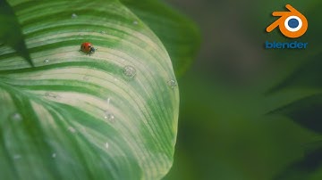 Ladybug | Blender animation | 3D Artwork