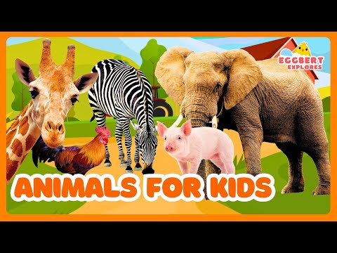 Animals For Kids Learn Jungle Farm Ocean Safari Animal Noises