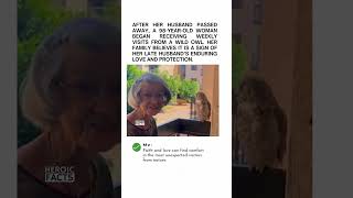 The Mysterious Owl That Visits A Ninety Eight Year Old Grandma Every Week