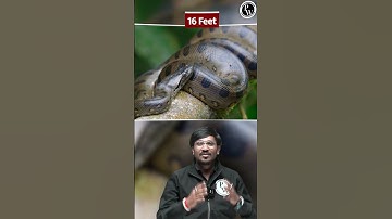મરેલો સાપ કરડી શકે? #Fact #PW #Snake