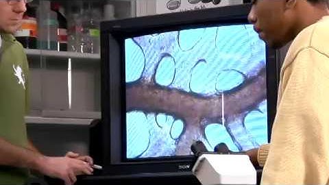 DePaul University Admission Video