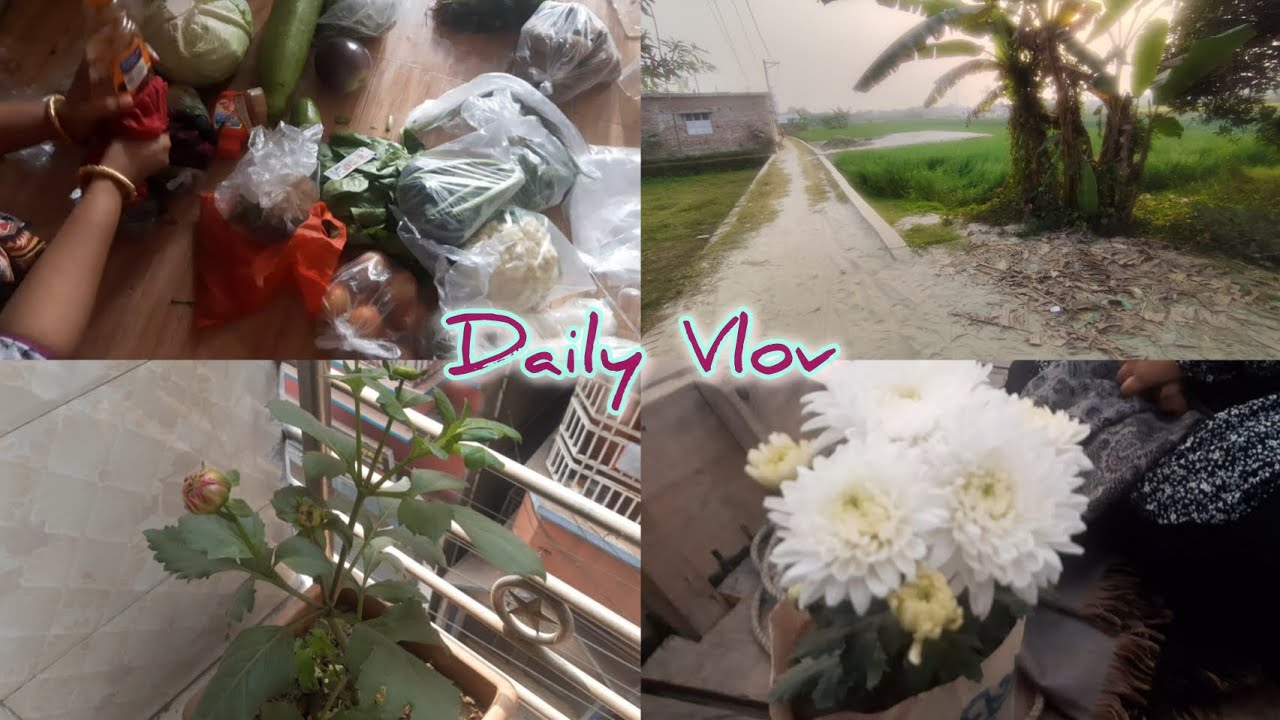 প্রতিদিনের কাজের শেষে গেলাম বাহিরে কফি খেতে  ☕নার্সারি থেকে ফুল আনলাম🌺🍃