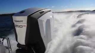 Evinrude E-Tec 250 H.O G2