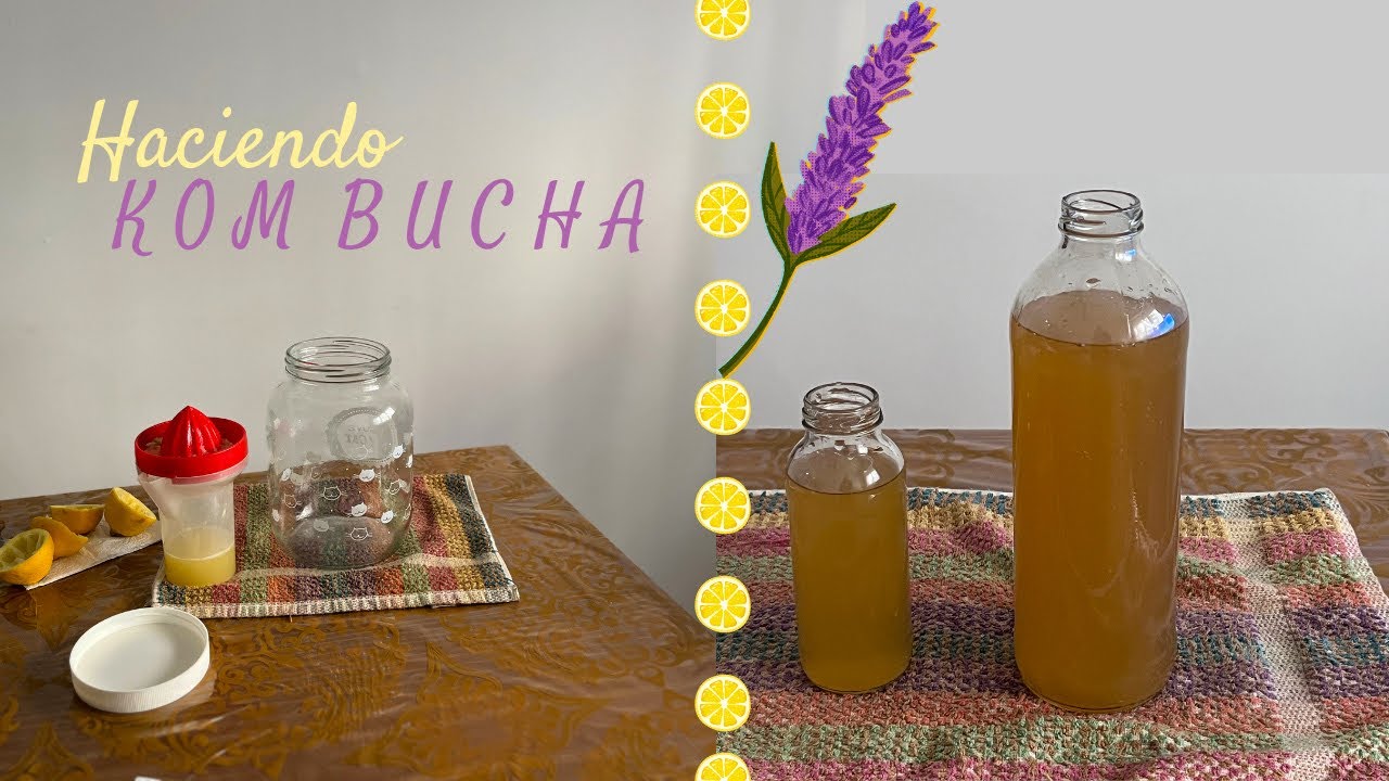 Haciendo KOMBUCHA por primera vez 🍋🌱