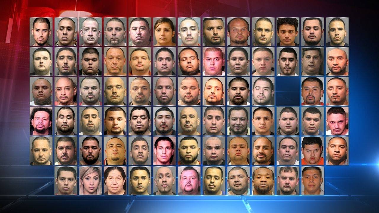 Crime ring presser pkg