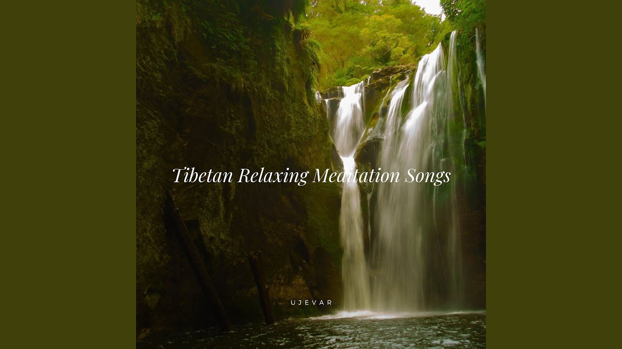Guarda Dolphin Dance su YouTube Guarda Dolphin Dance su YouTube