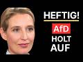 🚨 EILMELDUNG! - AfD HOLT WEITER AUF - REGIERUNG IN PANIK! 🚨
