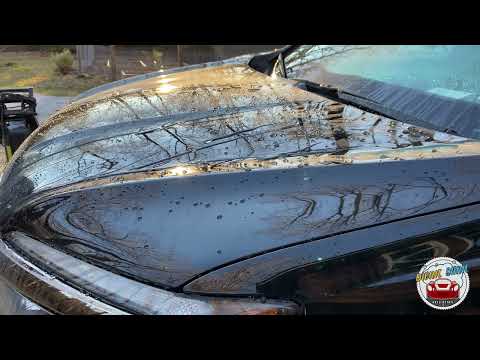 Divine Shine Auto Detail