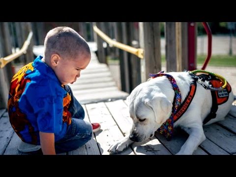 an-autistic-boy-and-his-service-dog