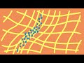 Lecture 13: Invertible Neural Networks. Convolutional and Conditional Invertible Networks.
