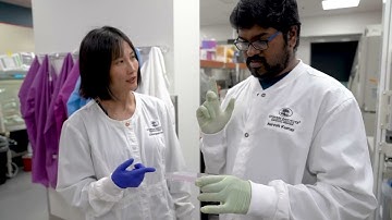 #WhyStowers: Chongbei Zhao, Head of Cells, Tissues, and Organoids Center and Media Prep