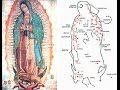 Estrellas y constelaciones en el manto de Nuestra Señora de Guadalupe-Mtro. Eugenio Urrutia