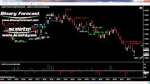 Forex Euro USD 6E Futures Ninja Trader Daily Report 29th Aug 2012 Futures