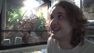 Socializing A Monitor, And Kids Playing With Snakes