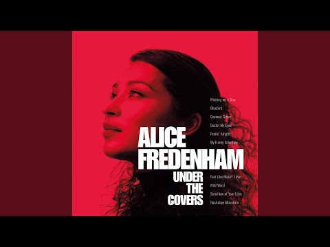 Alice Fredenham — Bluebird