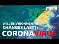 How is the coronavirus pandemic saving the planet? - BBC