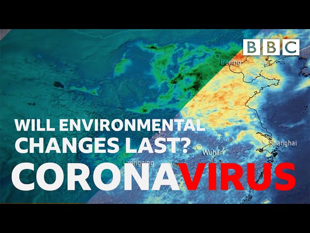 How is the coronavirus pandemic saving the planet? - BBC class=