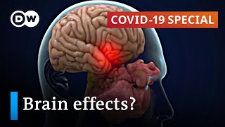 Sensory impairment: How the coronavirus is getting on our nerves | COVID-19 Special Sensory impairment: How the coronavirus is getting on our nerves | COVID-19 Special