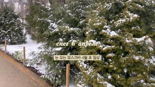 모스크바 vlog :: 눈 오는 4월 초 러시아 일상