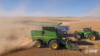 Barley Harvest 2017 Bruno Saskatchewan