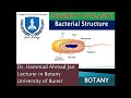 Bacterial Cell Structure | Prokaryotic Cell Explained with Diagram | Microbiology Lecture