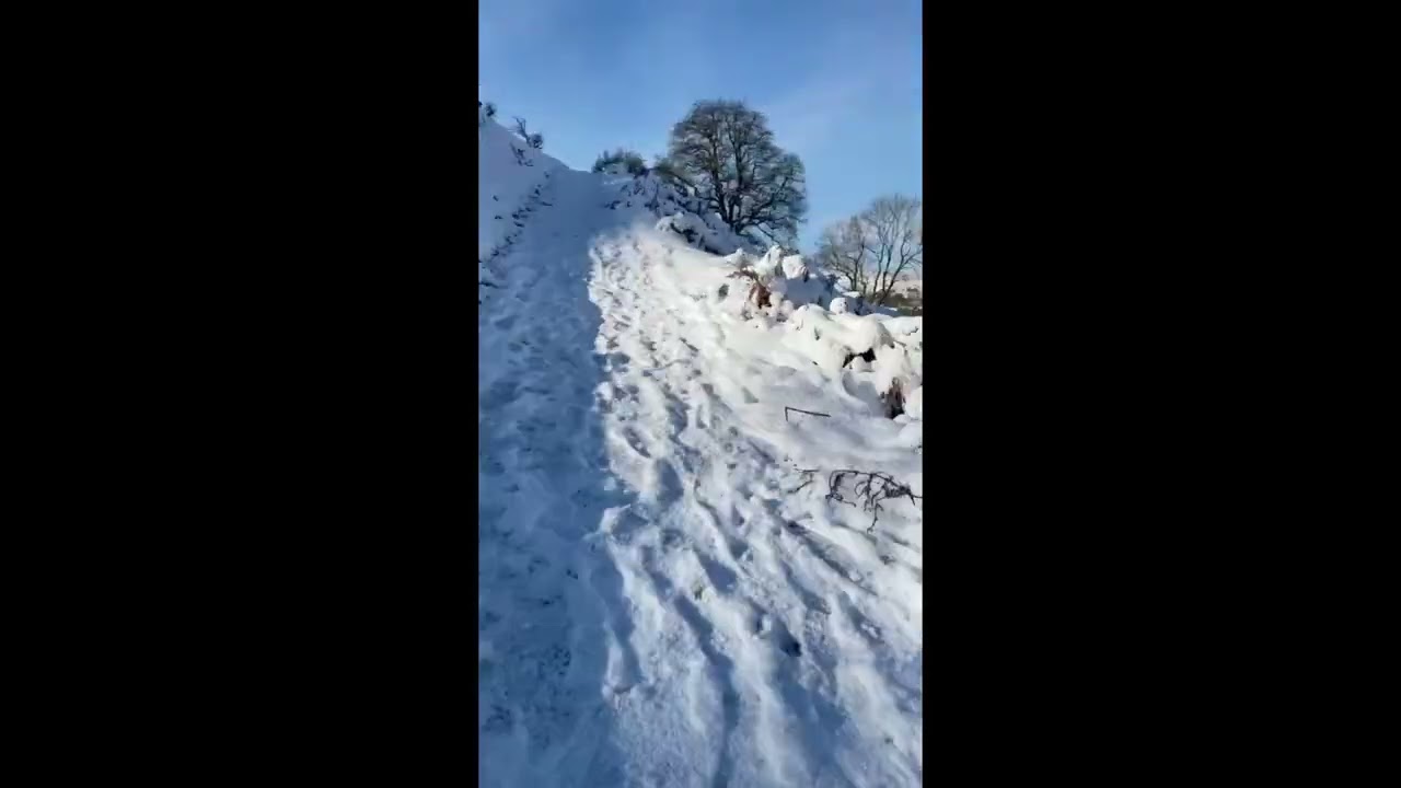Dina’s Bran Castle Llangollen in the Snow