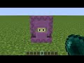 what's inside the shulker?