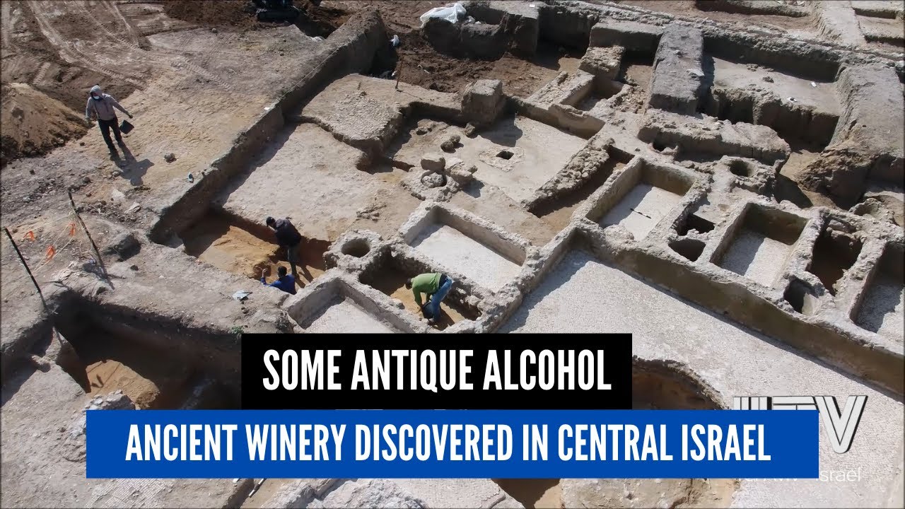Ancient winery discovered in central Israel YouTube