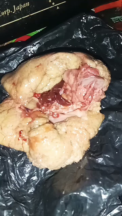 jeroan #cover #remix #viral #makanansendiri #fyp #fypyoutube #beranda