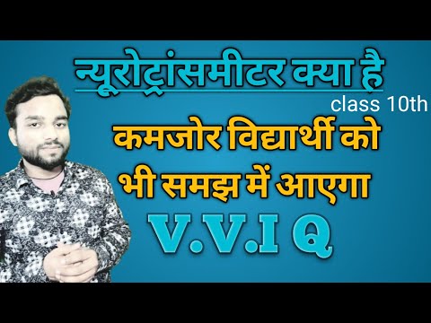 वीडियो: न्यूरोट्रांसमीटर क्यों महत्वपूर्ण हैं?